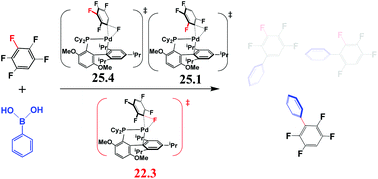 Graphical abstract: C–F bond arylation of fluoroarenes catalyzed by Pd0 phosphine complexes: theoretical insight into regioselectivity, reactivity, and prediction of ligands