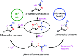 Graphical abstract: General approach to 2-fluoroalkyl 1,3-azoles via the tandem ring opening and defluorinative annulation of N-fluoroalkyl-1,2,3-triazoles