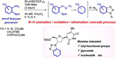 Graphical abstract: One-pot generation of benzynes from 2-aminophenylboronates via a Rh(ii)-catalyzed N–H amination/oxidation/elimination cascade process