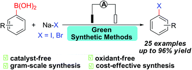 Graphical abstract: Transition metal-free electrocatalytic halodeborylation of arylboronic acids with metal halides MX (X = I, Br) to synthesize aryl halides