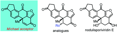 Graphical abstract: Asymmetric total synthesis of nodulisporiviridin E