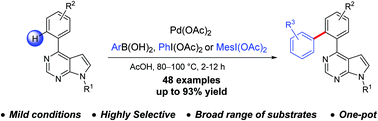 Graphical abstract: Pd-Catalyzed highly selective and direct ortho C–H arylation of pyrrolo[2,3-d]pyrimidine derivatives