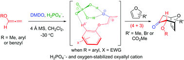 Graphical abstract: (4 + 3) cycloadditions of allenyl ether-derived oxygen-stabilized oxyallyls with furans