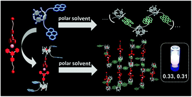 Graphical abstract: Solvent-controlled assembly of pillar[5]arene-based supramolecular networks via π–π interactions for white light modulation