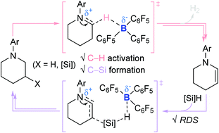 Graphical abstract: Dual reactivity of B(C6F5)3 enables the silylative cascade conversion of N-aryl piperidines to sila-N-heterocycles: DFT calculations