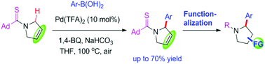 Graphical abstract: Sulfur-directed palladium-catalyzed C(sp3)–H α-arylation of 3-pyrrolines: easy access to diverse polysubstituted pyrrolidines