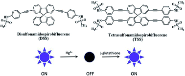 Graphical abstract: Novel sulfonamidospirobifluorenes as fluorescent sensors for mercury(ii) ion and glutathione
