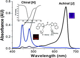 Graphical abstract: Spontaneous formation and reversible transformation between achiral J- and chiral H-aggregates of cyanine dye MTC