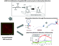 Graphical abstract: Detection of miRNA cancer biomarkers using light activated Molecular Beacons