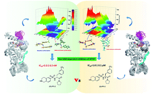 Graphical abstract: Insights into the stereoselectivity of human SETD7 methyltransferase