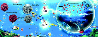 Graphical abstract: Interior engineering of seaweed-derived N-doped versatile carbonaceous beads with CoxOy for universal organic pollutant degradation