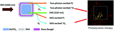 Graphical abstract: SHG-enhanced NIR-excited in vitro photodynamic therapy using composite nanoparticles of barium titanate and rose Bengal