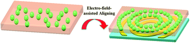 Graphical abstract: Formation of highly ordered micro fillers in polymeric matrix by electro-field-assisted aligning