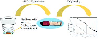 Graphical abstract: Preparation of graphene/Au aerogel film through the hydrothermal process and application for H2O2 detection