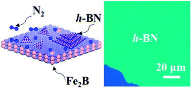 Graphical abstract: Controlled synthesis of uniform multilayer hexagonal boron nitride films on Fe2B alloy