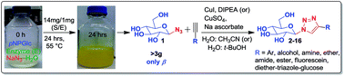 Graphical abstract: Gram scale production of 1-azido-β-d-glucose via enzyme catalysis for the synthesis of 1,2,3-triazole-glucosides