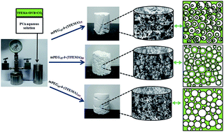 Graphical abstract: Preparation of fluoropolymer materials with different porous morphologies by an emulsion template method using supercritical carbon dioxide as a medium