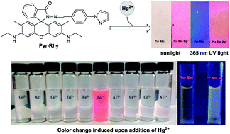 Graphical abstract: A highly selective colorimetric fluorescent probe for detection of Hg2+ and its application on test strips