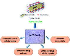 Graphical abstract: Cholesterol-coated gold nanorods as an efficient nano-carrier for chemotherapeutic delivery and potential treatment of breast cancer: in vitro studies using the MCF-7 cell line