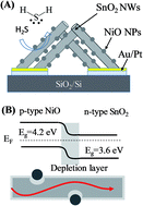 Graphical abstract: An effective H2S sensor based on SnO2 nanowires decorated with NiO nanoparticles by electron beam evaporation