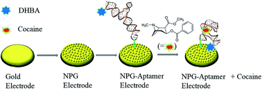 Graphical abstract: A nanoporous gold-based electrochemical aptasensor for sensitive detection of cocaine
