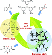Graphical abstract: Mechanistic insight into the catalytic hydrogenation of nonactivated aldehydes with a Hantzsch ester in the presence of a series of organoboranes: NMR and DFT studies