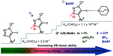 Graphical abstract: Tunable chiral triazole-based halogen bond donors: assessment of donor strength in solution with nitrogen-containing acceptors