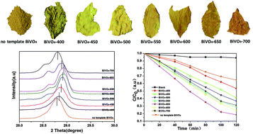 Graphical abstract: In situ synthesis of C-doped BiVO4 with natural leaf as a template under different calcination temperatures