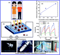 Graphical abstract: Influence of composition on the external quantum efficiency of reduced graphene oxide/carbon nanoparticle based photodetector used for human body IR detection