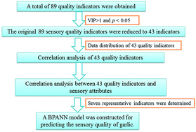 Graphical abstract: A new methodology for sensory quality assessment of garlic based on metabolomics and an artificial neural network