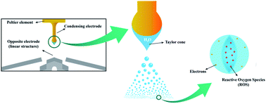 Graphical abstract: A novel method for textile odor removal using engineered water nanostructures