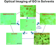 Graphical abstract: Identification of graphene oxide and its structural features in solvents by optical microscopy