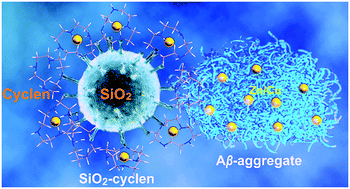 Graphical abstract: Inhibition of metal-induced amyloid β-peptide aggregation by a blood–brain barrier permeable silica–cyclen nanochelator