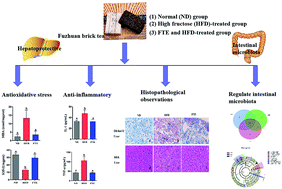 Graphical abstract: Consumption of post-fermented Jing-Wei Fuzhuan brick tea alleviates liver dysfunction and intestinal microbiota dysbiosis in high fructose diet-fed mice