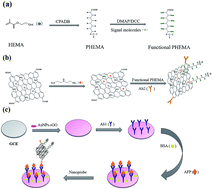 Graphical abstract: A label-free immunosensor based on PHEMA/graphene oxide nanocomposite for simultaneous electrochemical determination of alpha fetoprotein