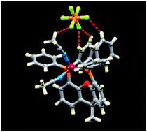Graphical abstract: [Cu(POP)(N^S)][PF6] and [Cu(xantphos)(N^S)][PF6] compounds with 2-(thiophen-2-yl)pyridines
