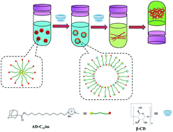 Graphical abstract: Self-assembly of supra-amphiphiles building block fabricated by β-cyclodextrin and adamantane-based ionic liquid