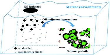 Graphical abstract: A practical adsorption model for the formation of submerged oils under the effect of suspended sediments