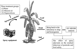 Graphical abstract: Deposition amount and dissipation kinetics of difenoconazole and propiconazole applied on banana with two commercial spray adjuvants
