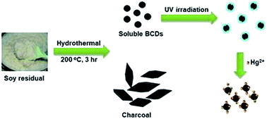Graphical abstract: Environmentally friendly synthesis of photoluminescent biochar dots from waste soy residues for rapid monitoring of potentially toxic elements