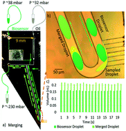 Graphical abstract: Microfabricated needle for hydrogen peroxide detection