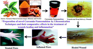 Graphical abstract: Preparation of a novel curcumin nanoemulsion by ultrasonication and its comparative effects in wound healing and the treatment of inflammation