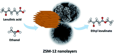Graphical abstract: Synthesis of hierarchical ZSM-12 nanolayers for levulinic acid esterification with ethanol to ethyl levulinate