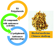 Graphical abstract: Polyphenols of Chinese skullcap roots: from chemical profiles to anticancer effects
