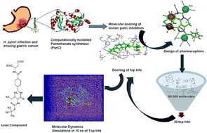Graphical abstract: Molecular docking, pharmacophore based virtual screening and molecular dynamics studies towards the identification of potential leads for the management of H. pylori