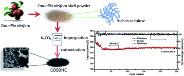 Graphical abstract: Facile synthesis of Camellia oleifera shell-derived hard carbon as an anode material for lithium-ion batteries