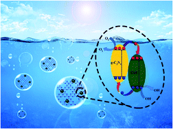Graphical abstract: In situ growth of CuS nanoparticles on g-C3N4 nanosheets for H2 production and the degradation of organic pollutant under visible-light irradiation