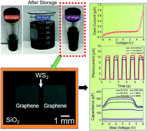Graphical abstract: Chemical exfoliation efficacy of semiconducting WS2 and its use in an additively manufactured heterostructure graphene–WS2–graphene photodiode