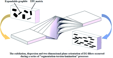 Graphical abstract: EG/TPU composites with enhanced flame retardancy and mechanical properties prepared by microlayer coextrusion technology
