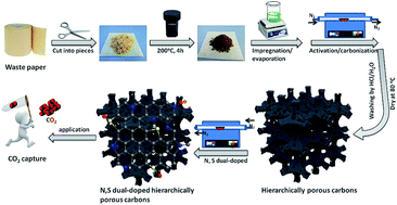 Graphical abstract: Biowaste-derived 3D honeycomb-like N and S dual-doped hierarchically porous carbons for high-efficient CO2 capture